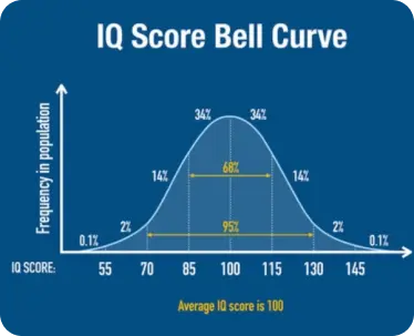 IQ Score